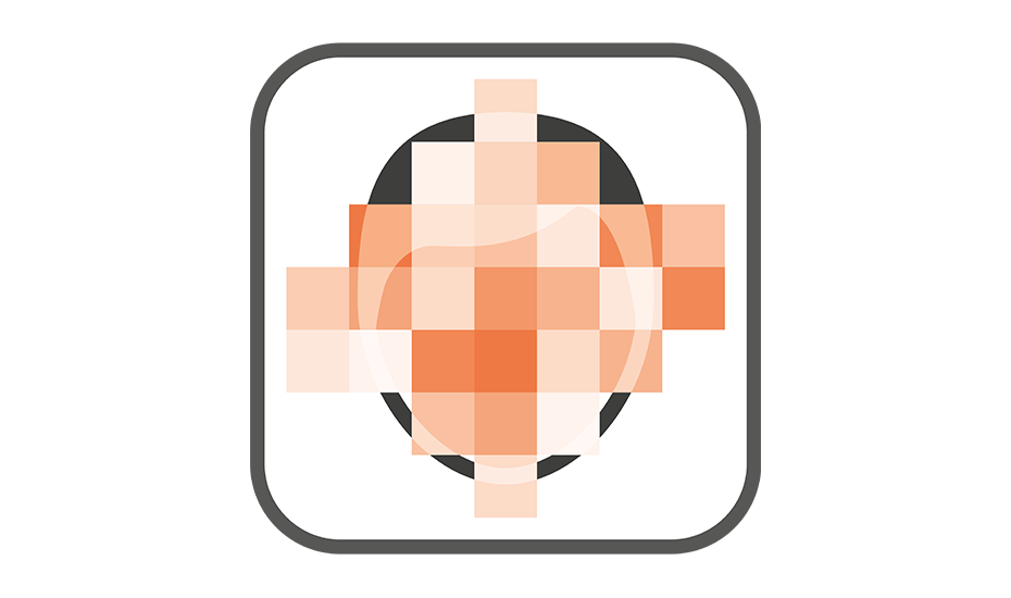 Irisity IRIS Anonymization App